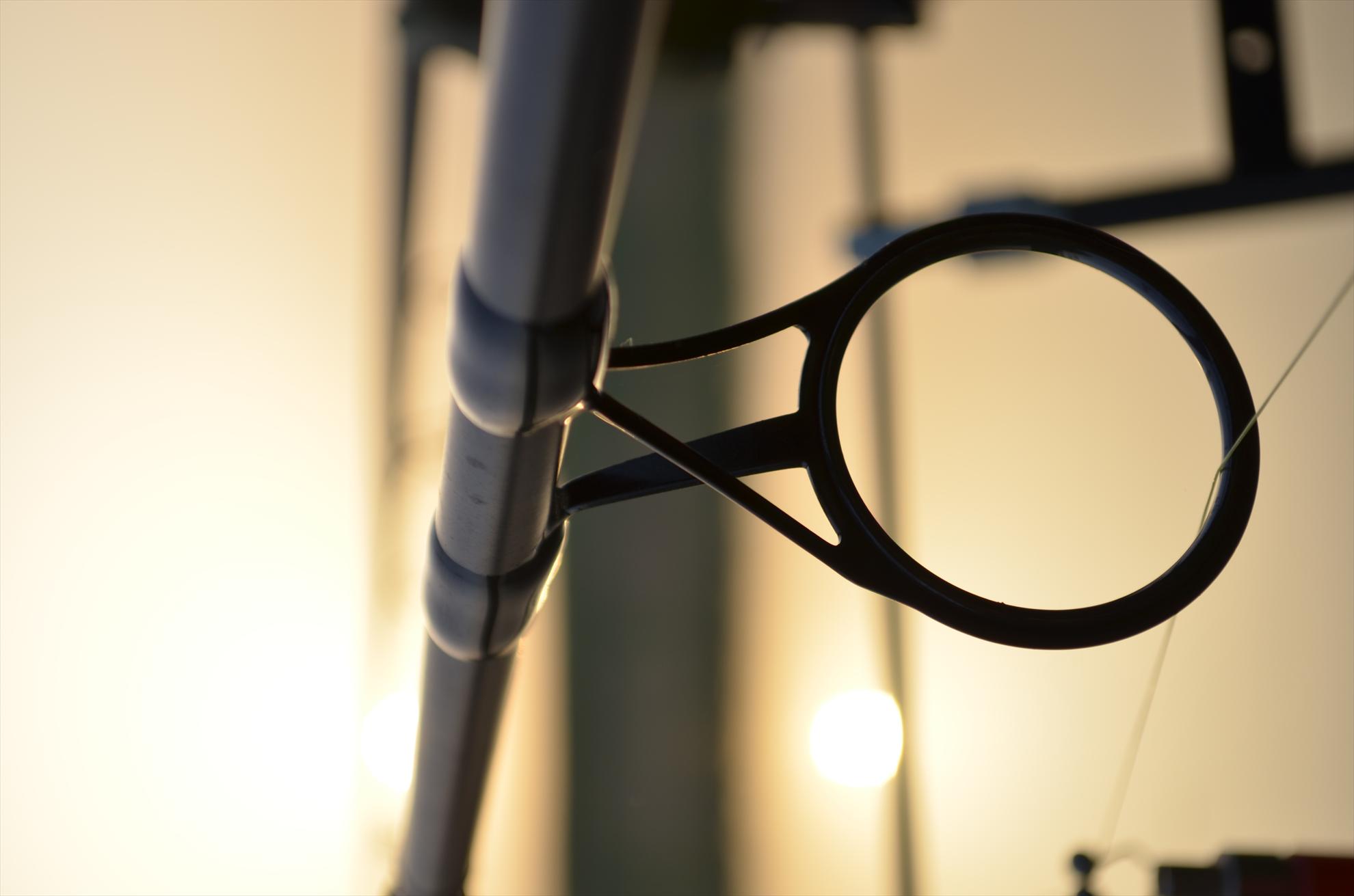 sisterea - dsc0536.JPG